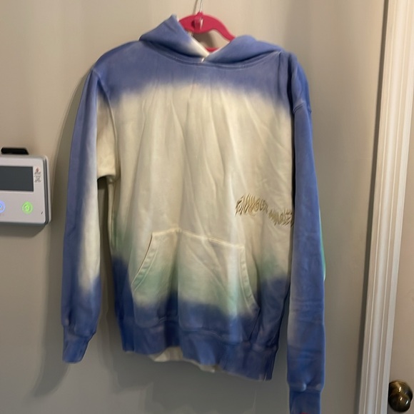 JUNGLES SPRAY DYED HOODIE (BIRCH BLUE GREEN) - Picture 5 of 9